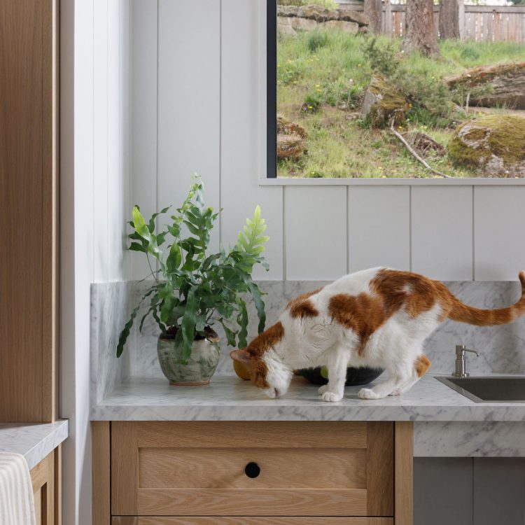 13_MontereyKitchen_MaryMcNeillKnowles